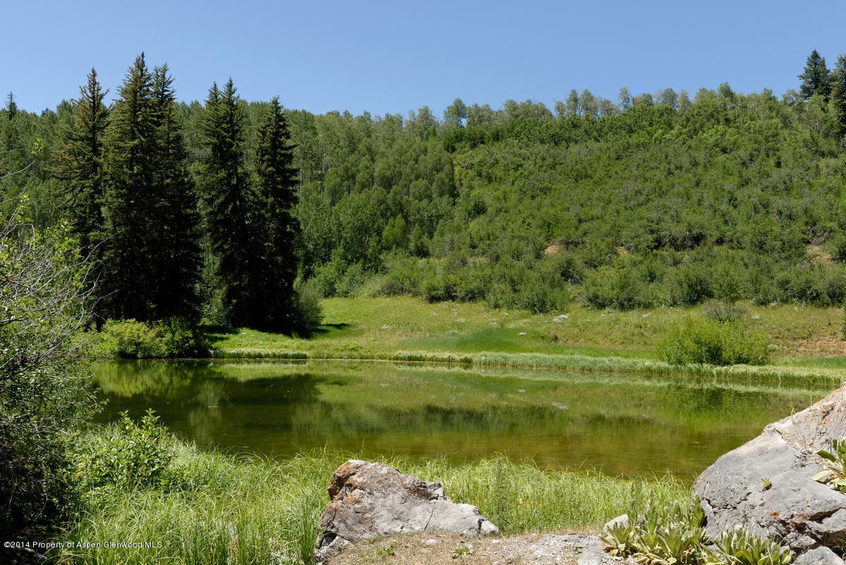 25278 Frying Pan Road, Meredith, CO 81642 - Photo 5