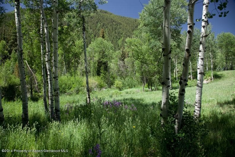 Tbd Highway 82, Aspen, CO 81611 - Photo 10
