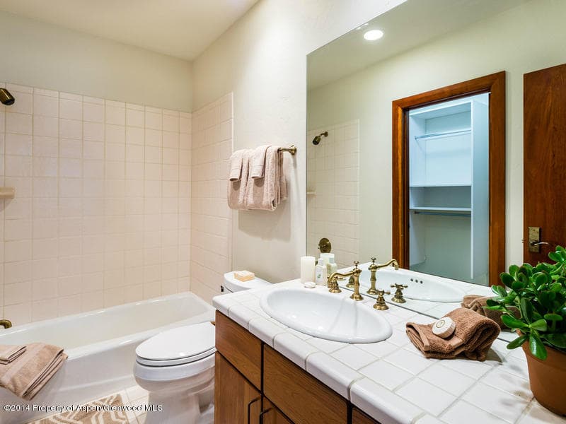 787 Castle Creek Drive, Aspen, CO 81611 - Photo 17