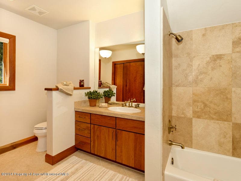 787 Castle Creek Drive, Aspen, CO 81611 - Photo 15
