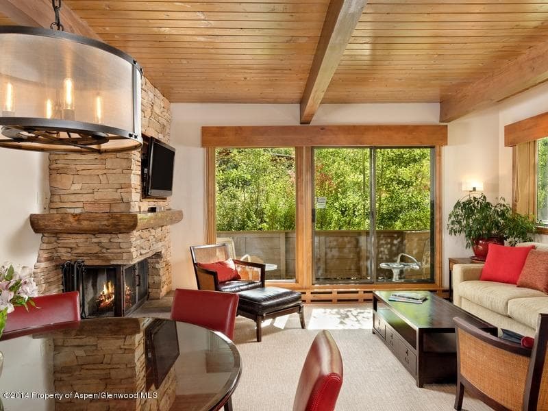 610 West End Street G-102, Aspen, CO 81611 - Photo 5