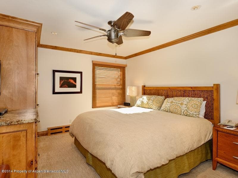 610 West End Street G-102, Aspen, CO 81611 - Photo 9