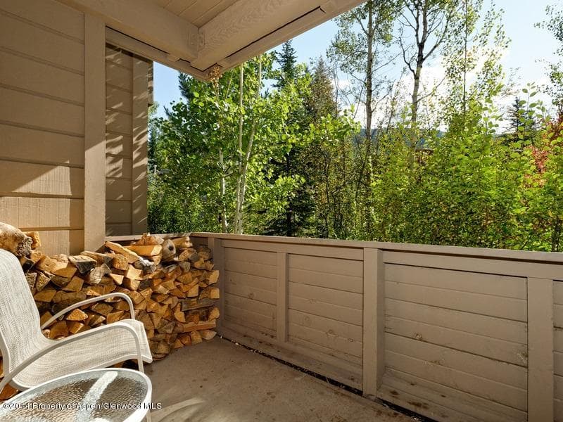 610 West End Street G-102, Aspen, CO 81611 - Photo 14