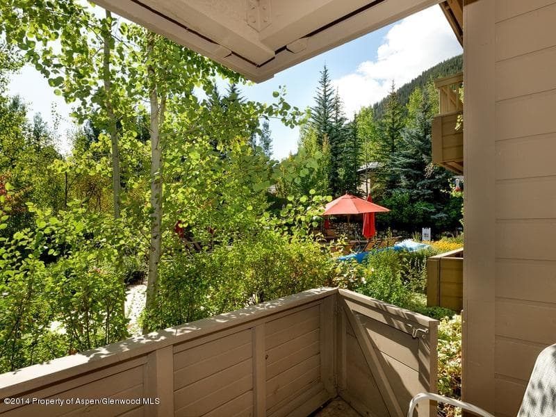 610 West End Street G-102, Aspen, CO 81611 - Photo 15