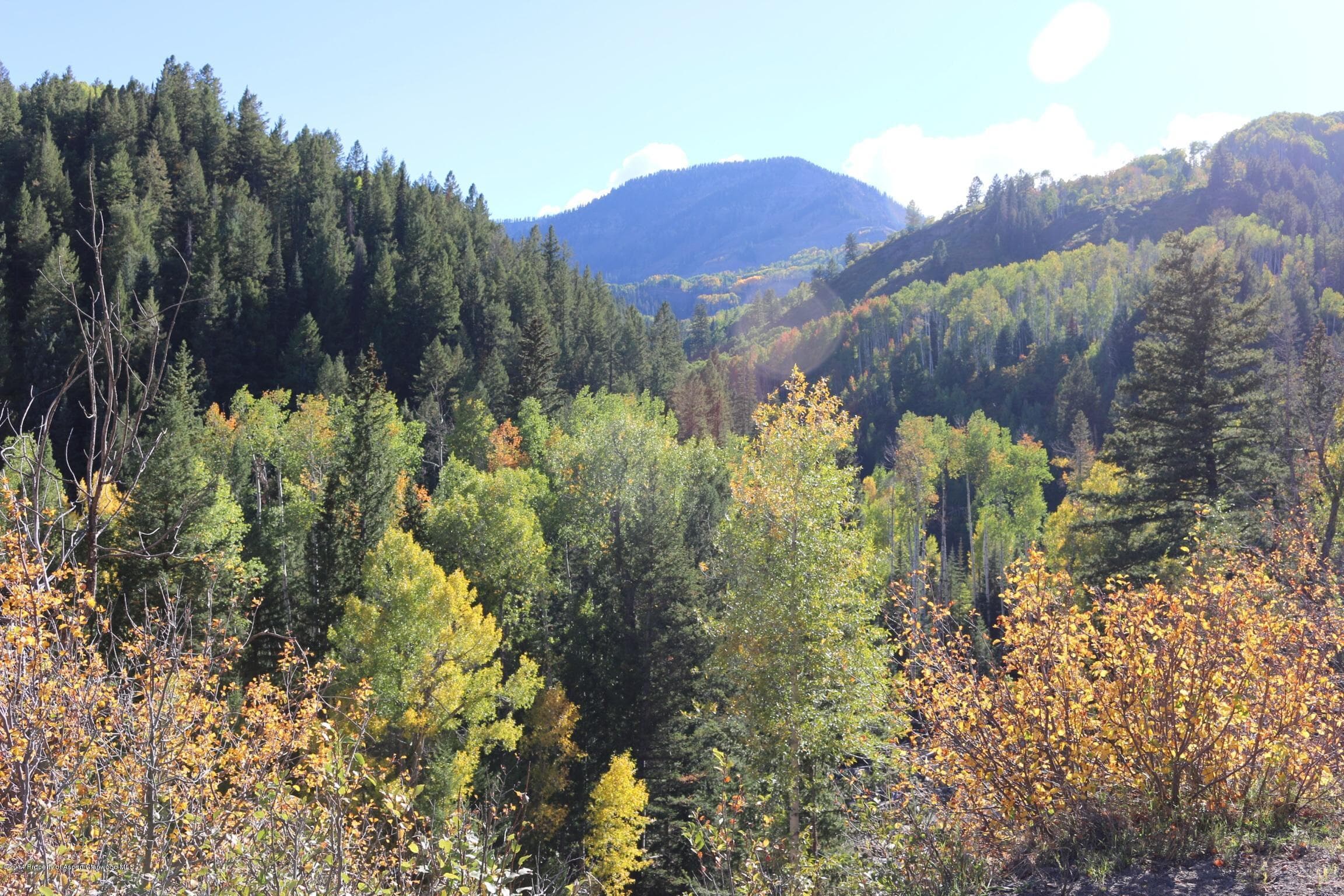 4180 Coal Creek Road, Carbondale, CO 81623 - Photo 37