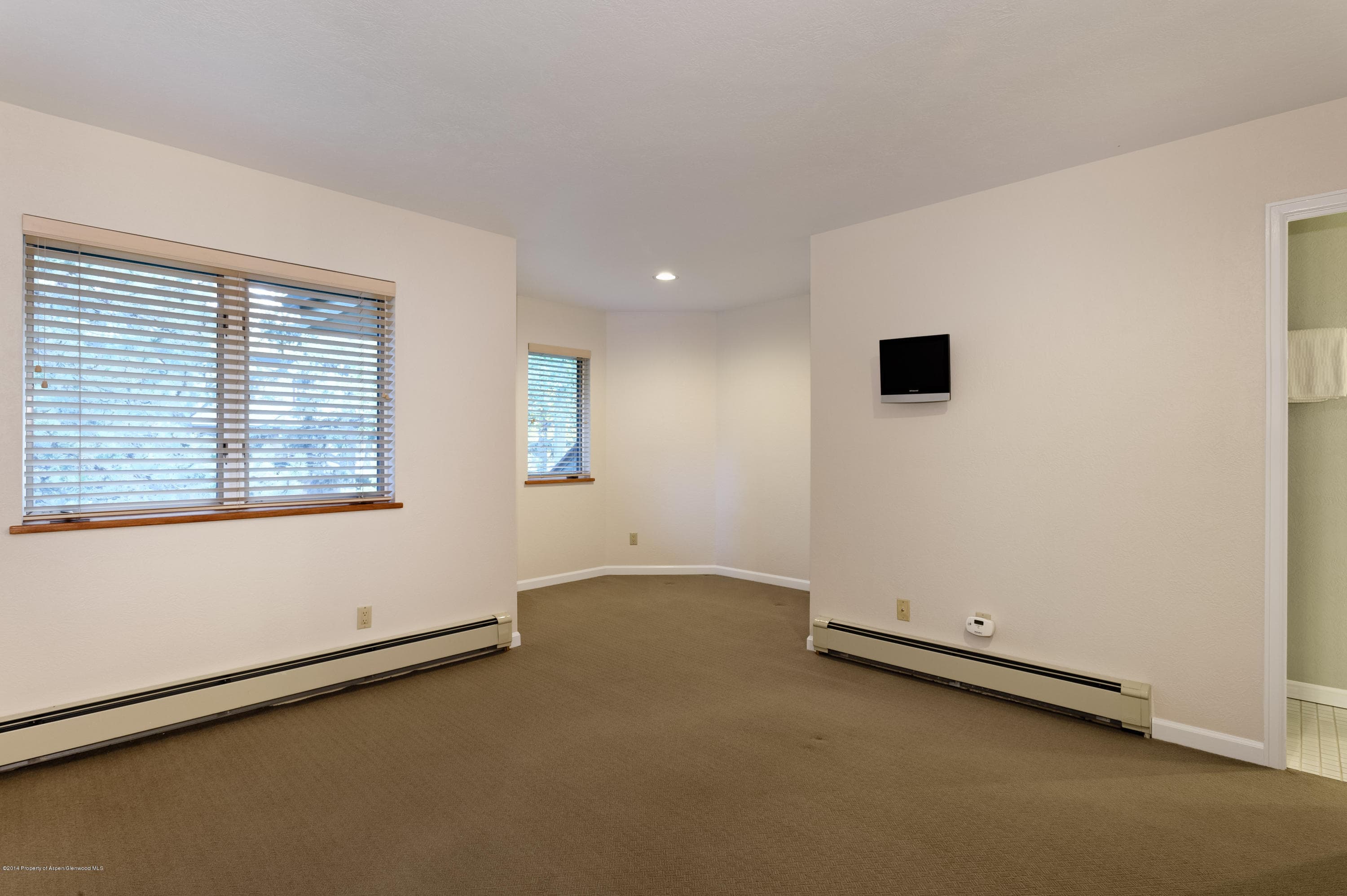 150 N 8th Street, Aspen, CO 81611 - Photo 29