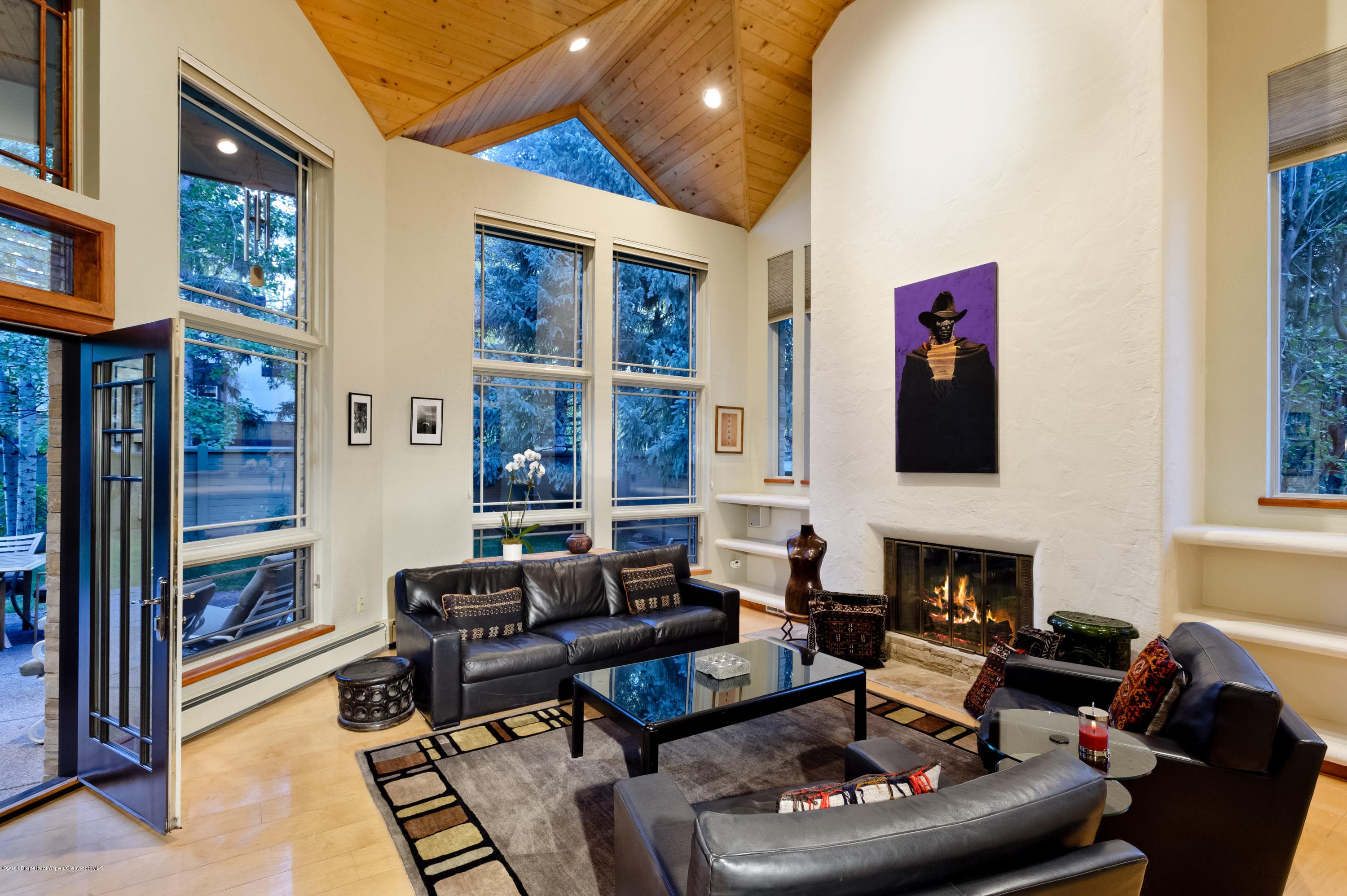150 N 8th Street, Aspen, CO 81611 - Photo 13