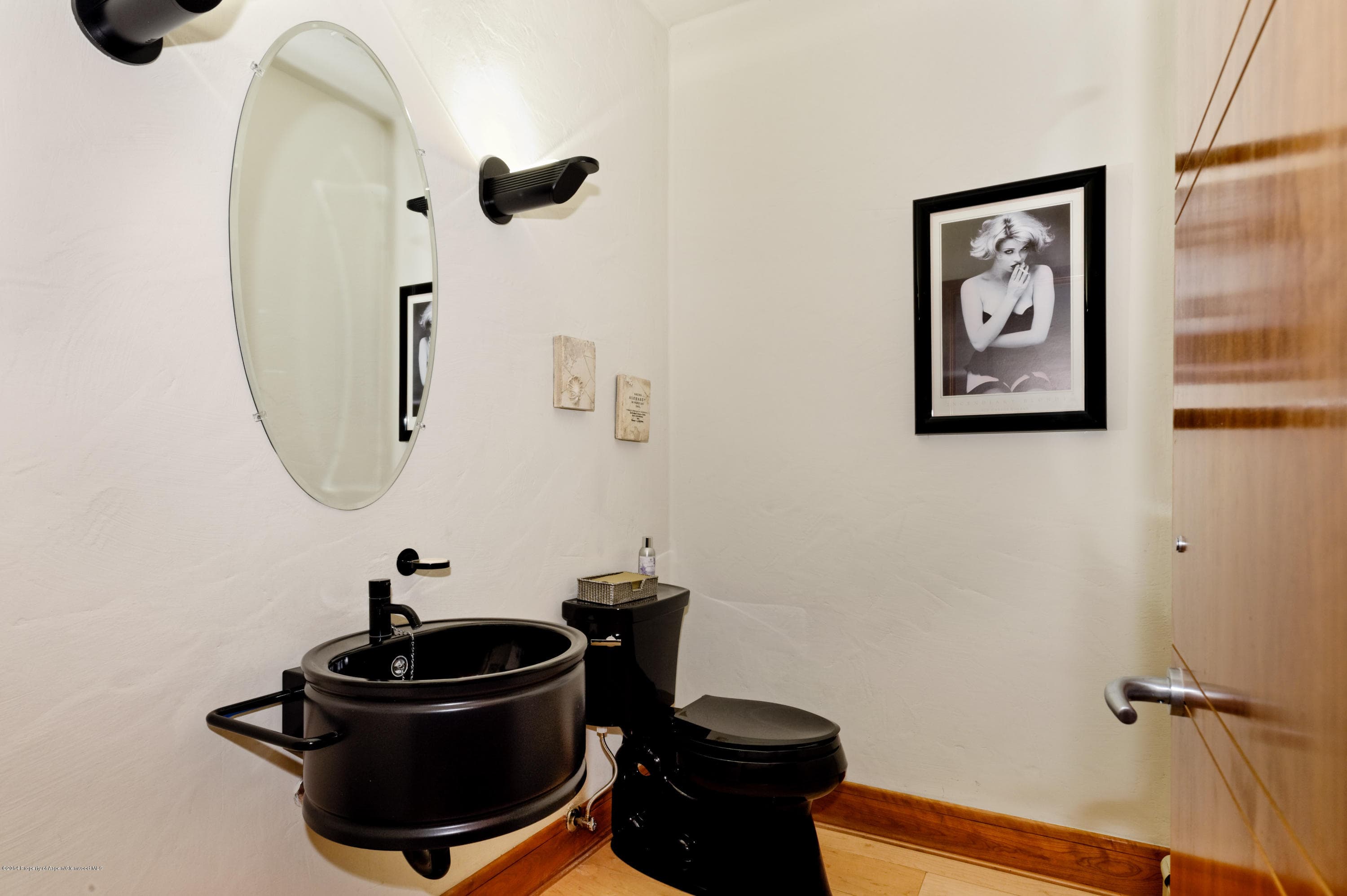 150 N 8th Street, Aspen, CO 81611 - Photo 28