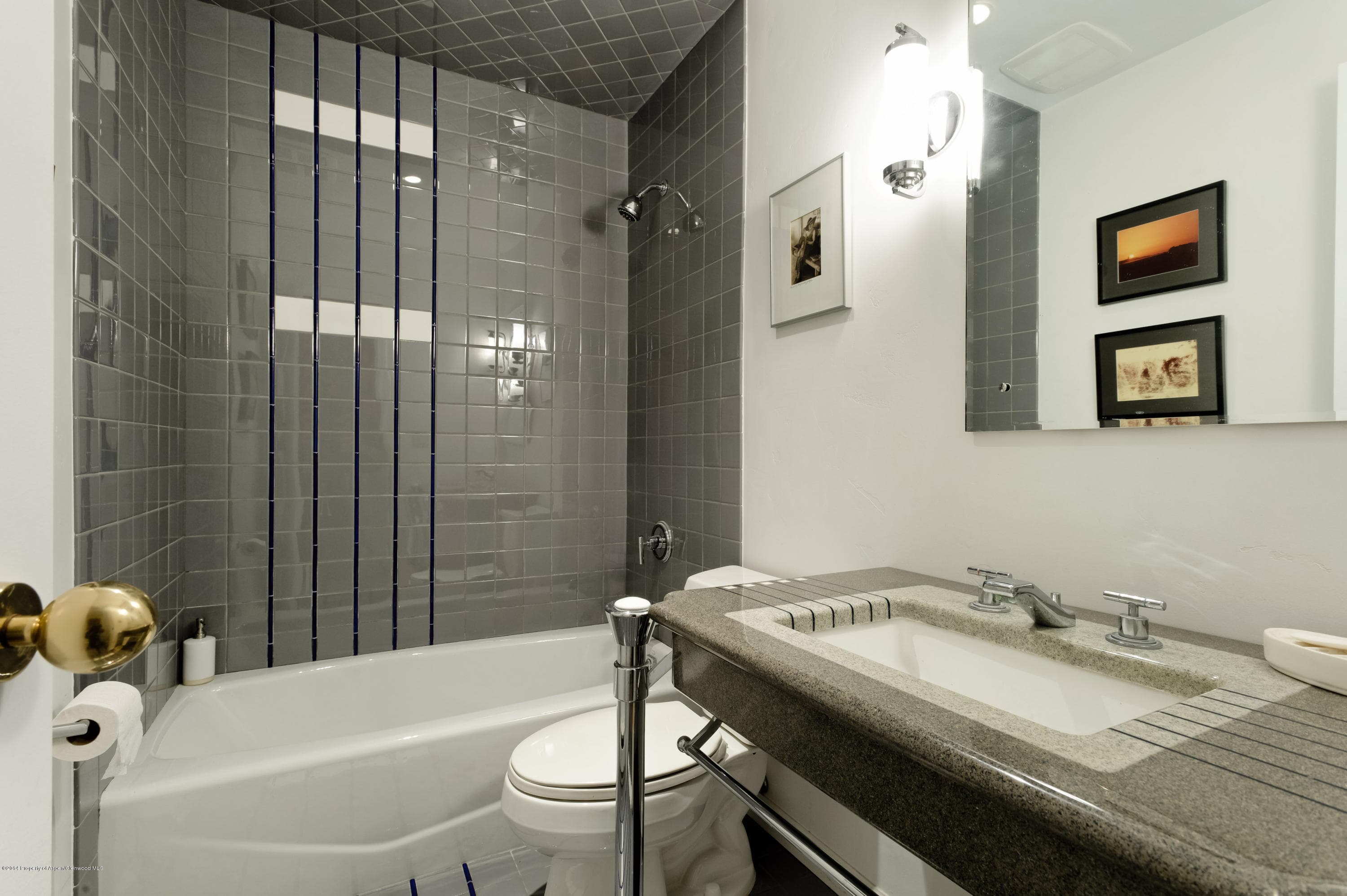 150 N 8th Street, Aspen, CO 81611 - Photo 34