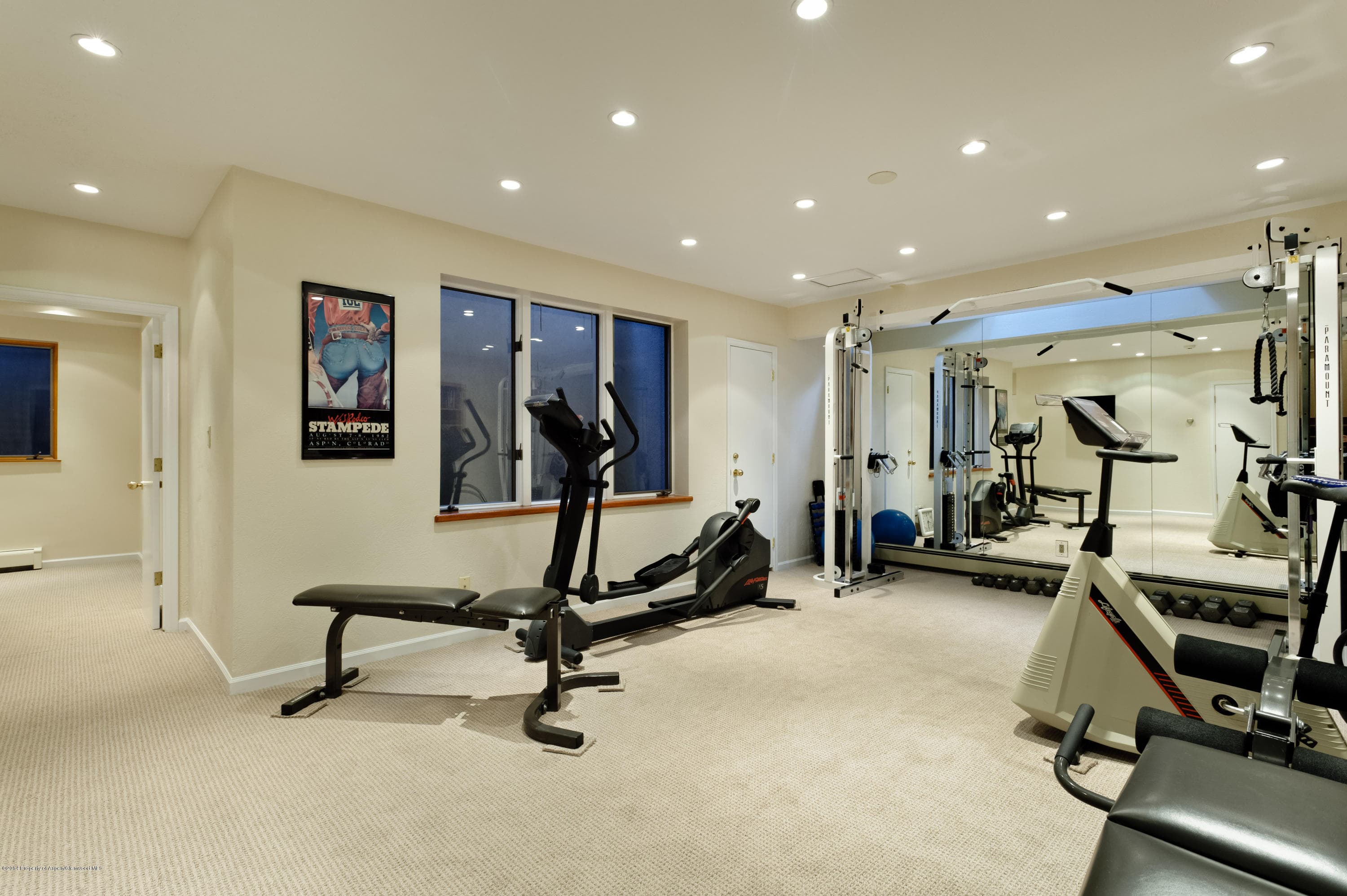 150 N 8th Street, Aspen, CO 81611 - Photo 33