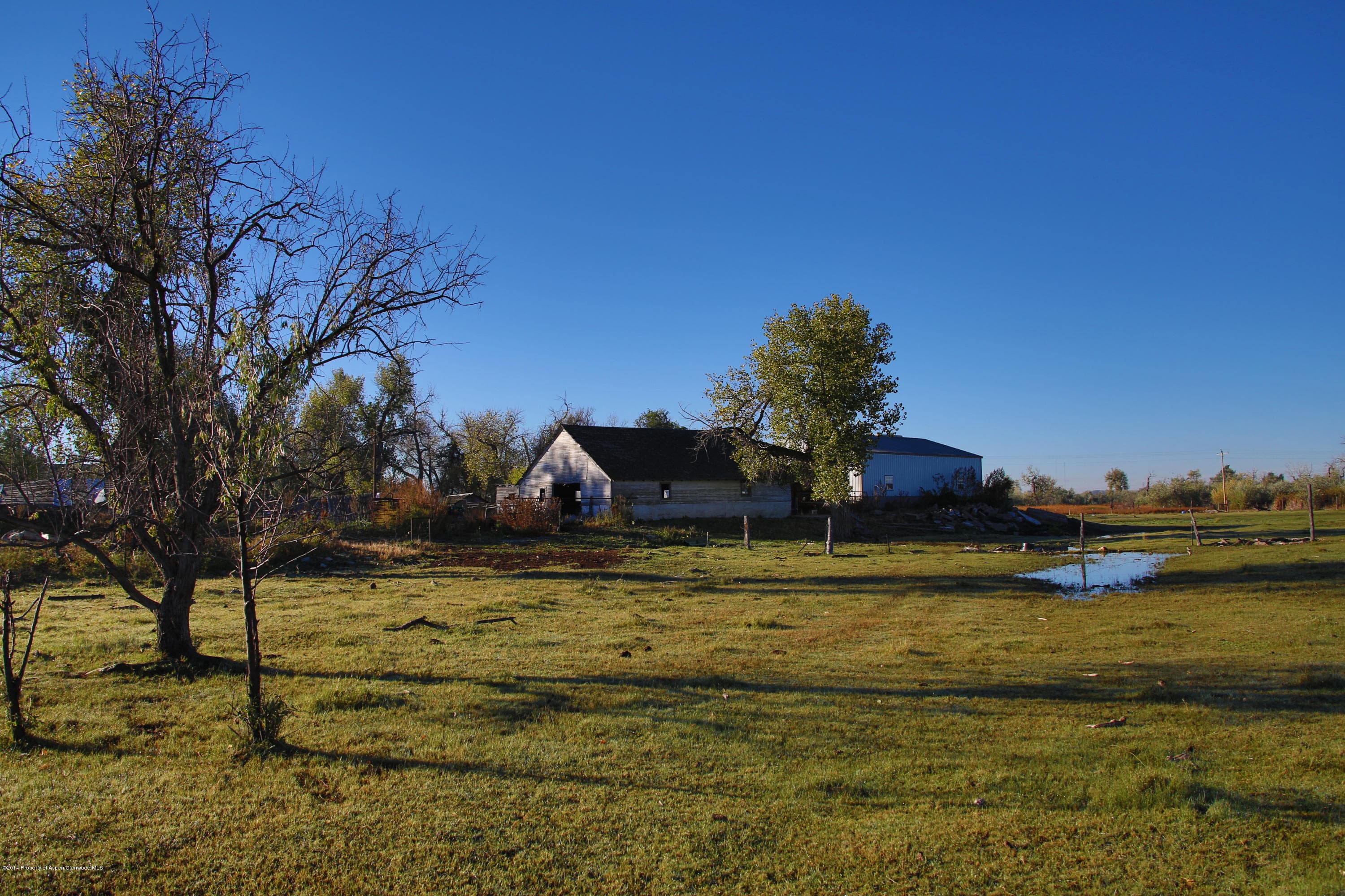 12535 County Road 23, Fort Lupton, CO 80621 - Photo 4