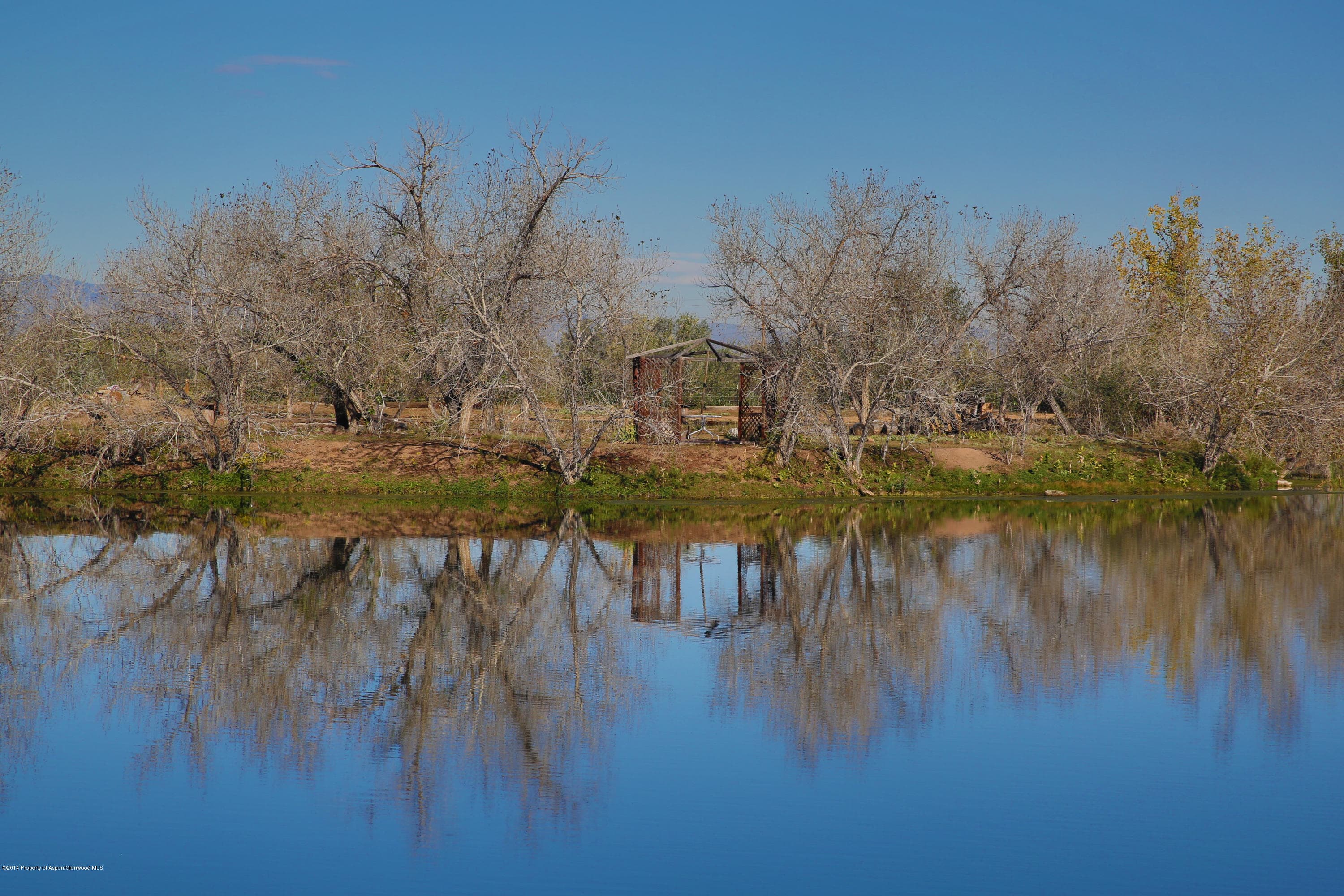 12535 County Road 23, Fort Lupton, CO 80621 - Photo 13
