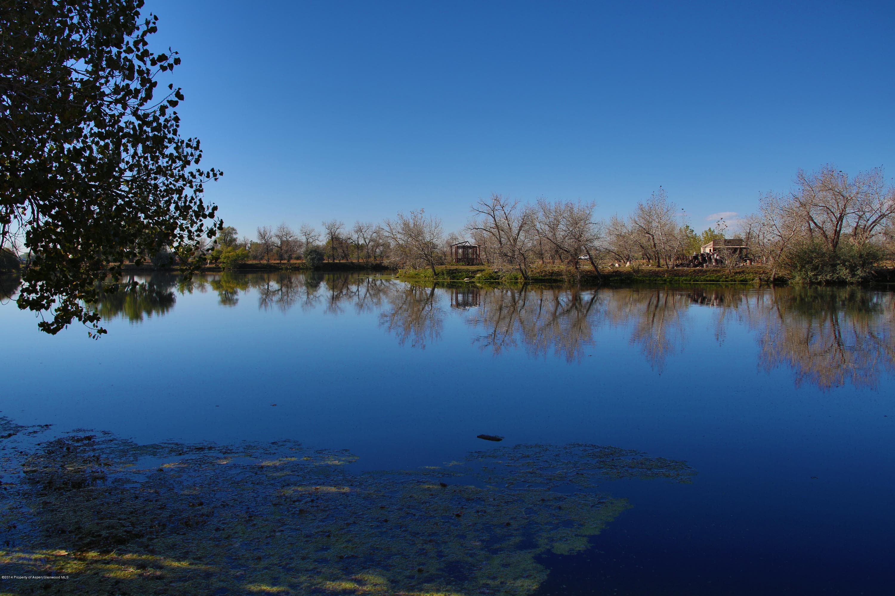 12535 County Road 23, Fort Lupton, CO 80621 - Photo 14