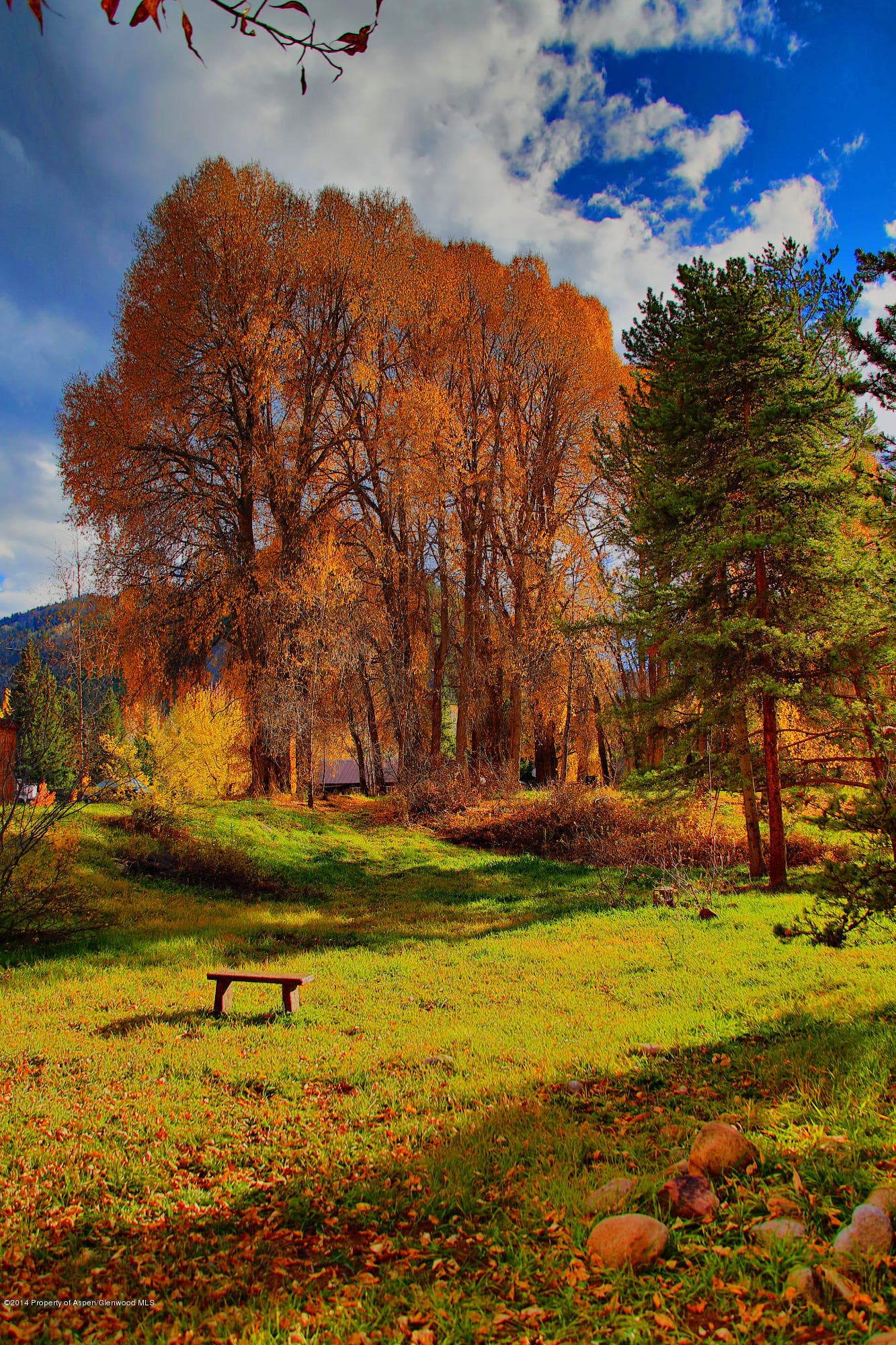 Tbd Smuggler Street, Aspen, CO 81611 - Photo 4