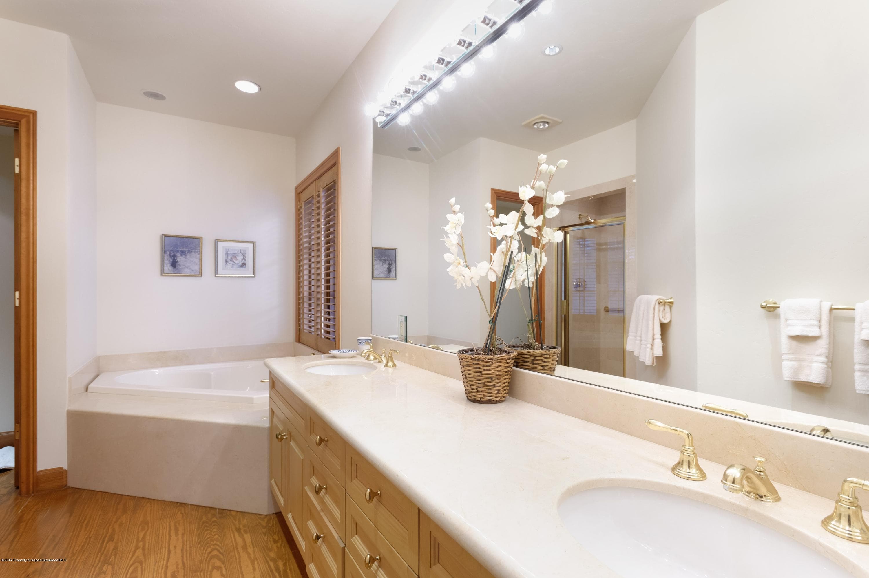 707 W Smuggler Street, Aspen, CO 81611 - Photo 11