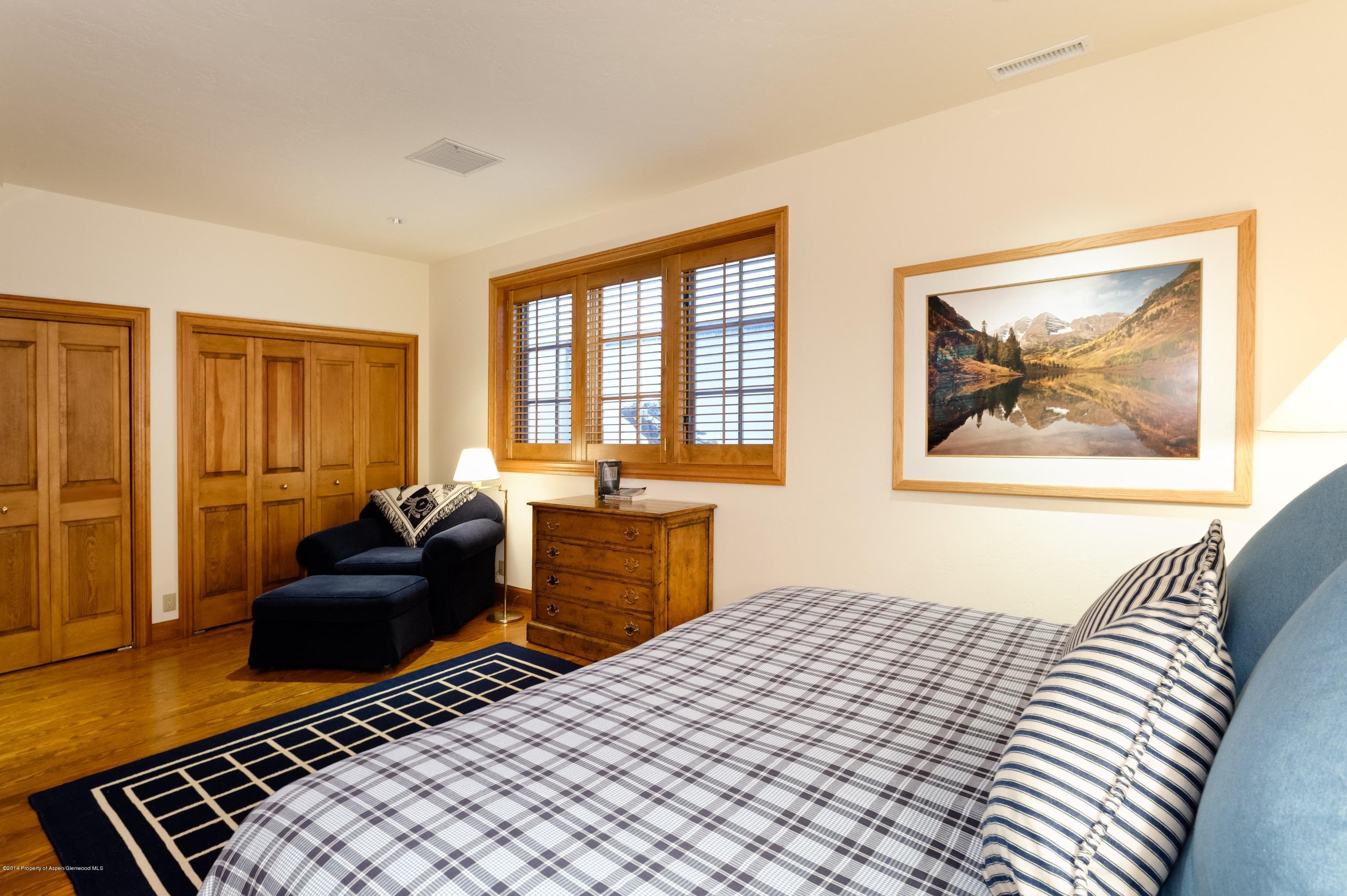 707 W Smuggler Street, Aspen, CO 81611 - Photo 12