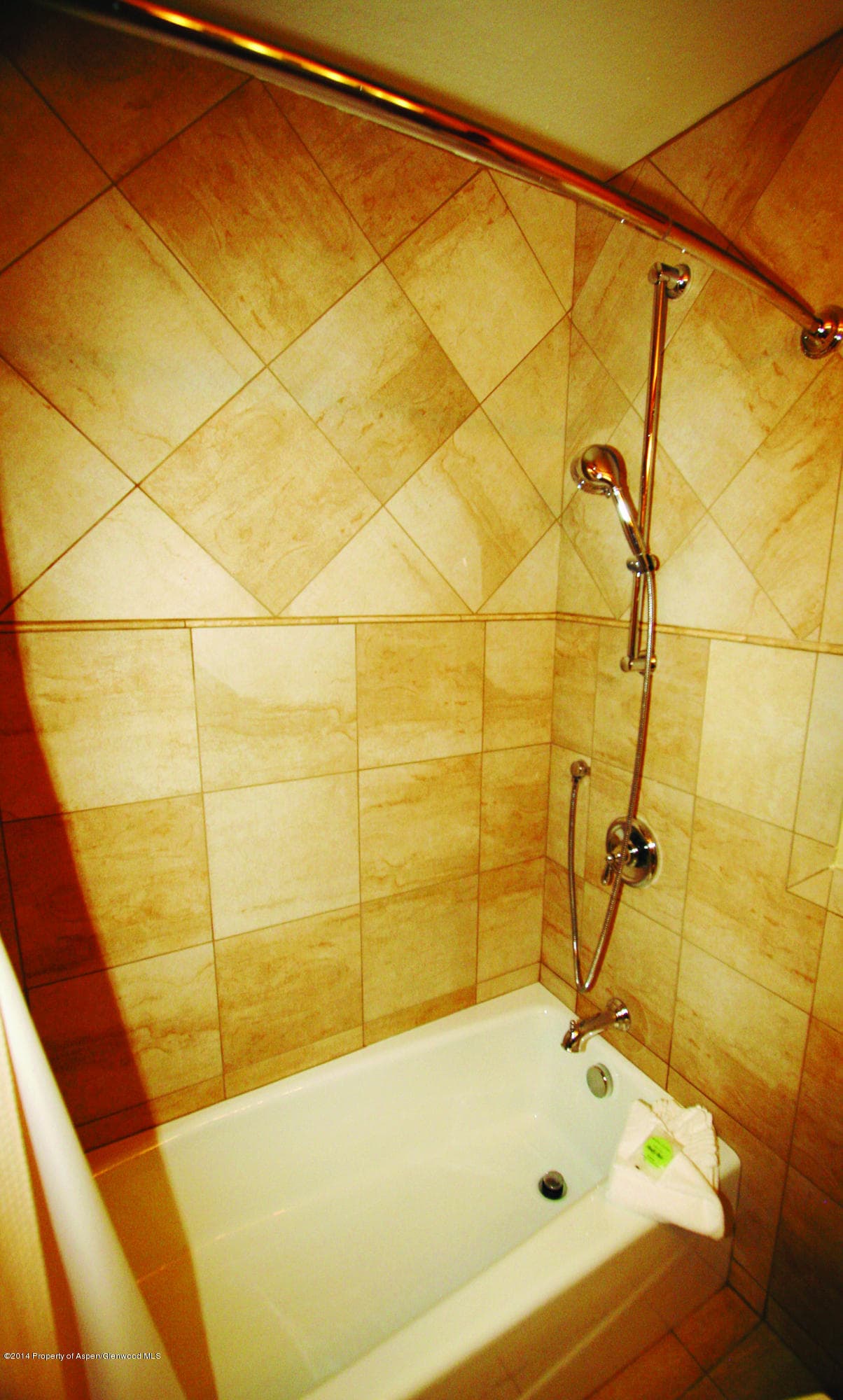 38750 Hwy 82 #1152, Aspen, CO 81611 - Photo 2