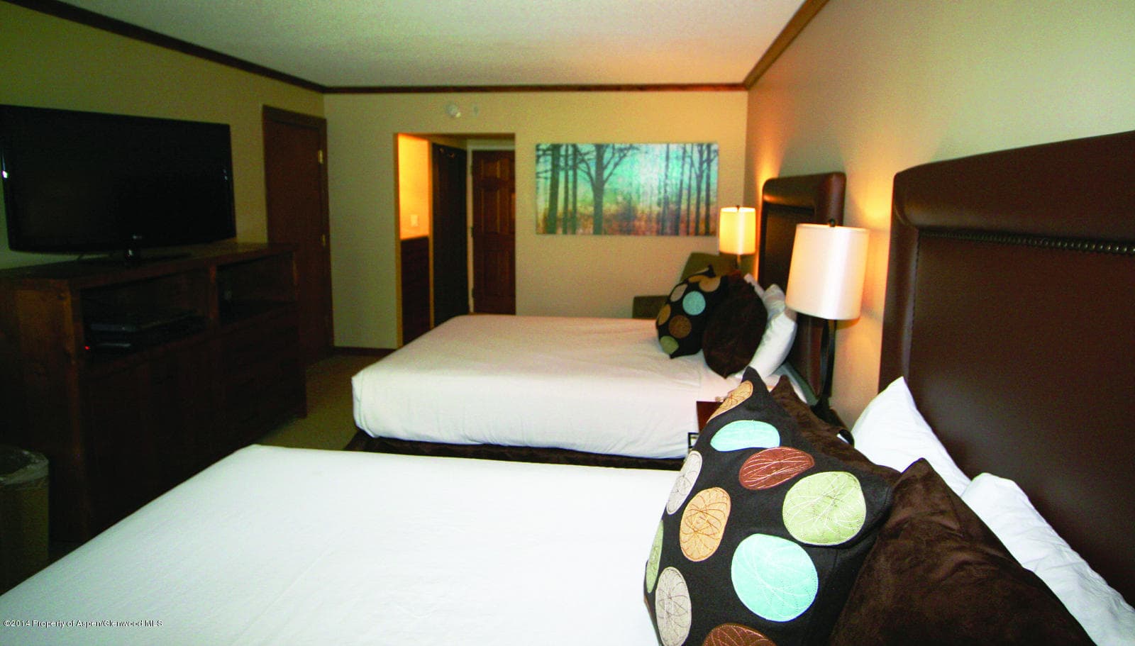 38750 Hwy 82 #1152, Aspen, CO 81611 - Photo 1