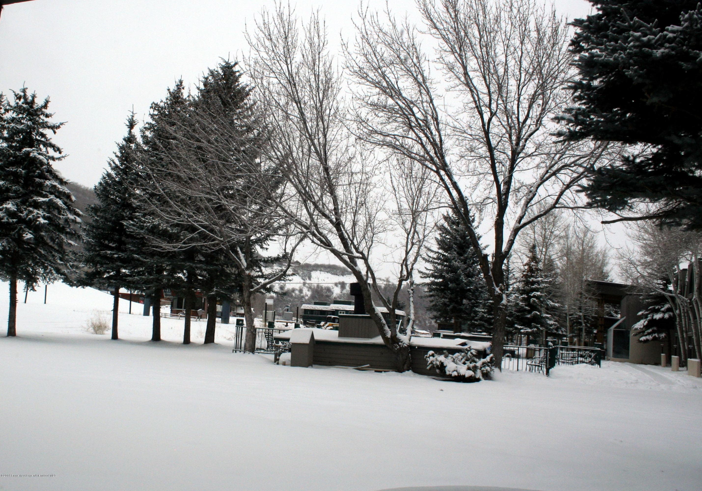 38750 Hwy 82 #1152, Aspen, CO 81611 - Photo 13