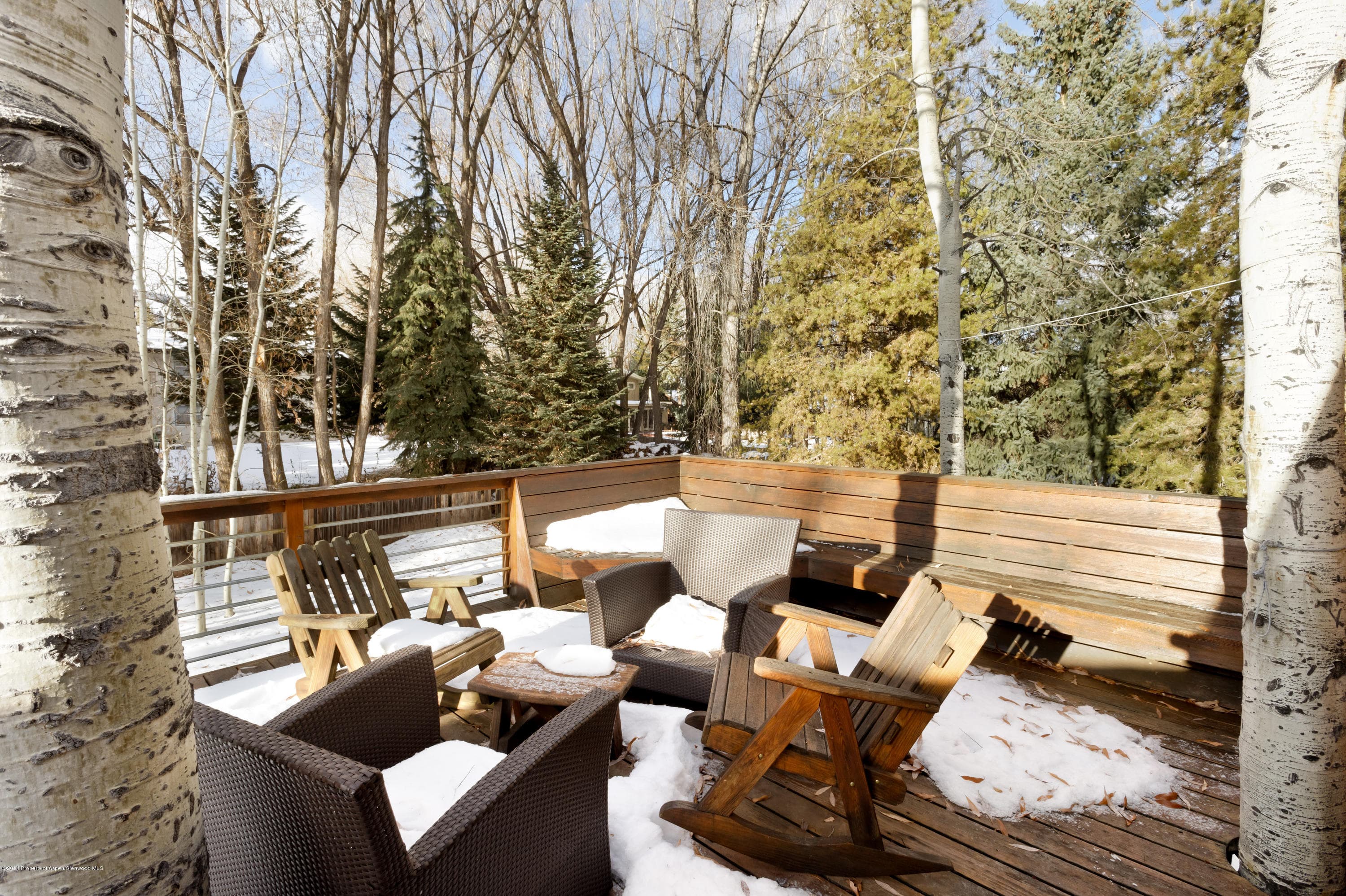 945 Cemetery Lane, Aspen, CO 81611 - Photo 17