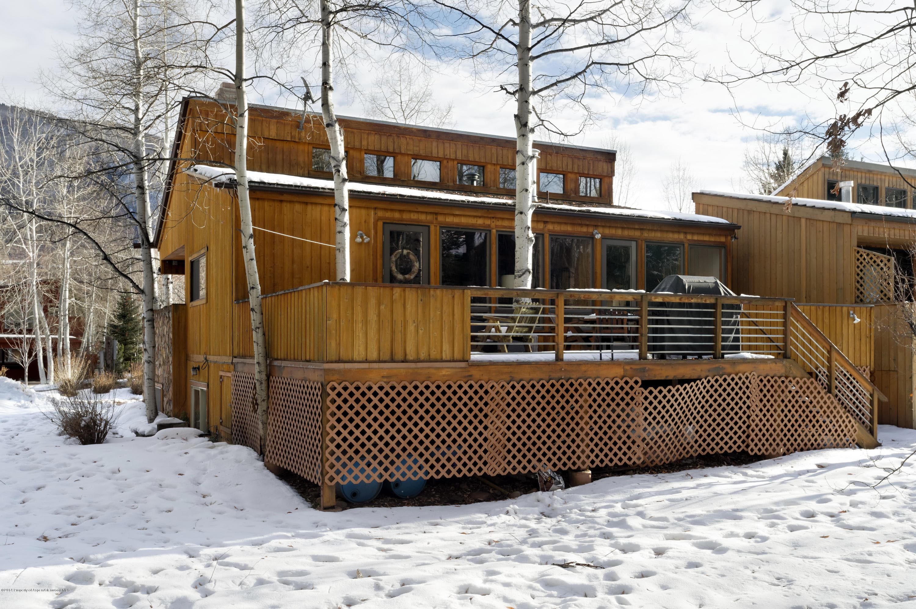 945 Cemetery Lane, Aspen, CO 81611 - Photo 20