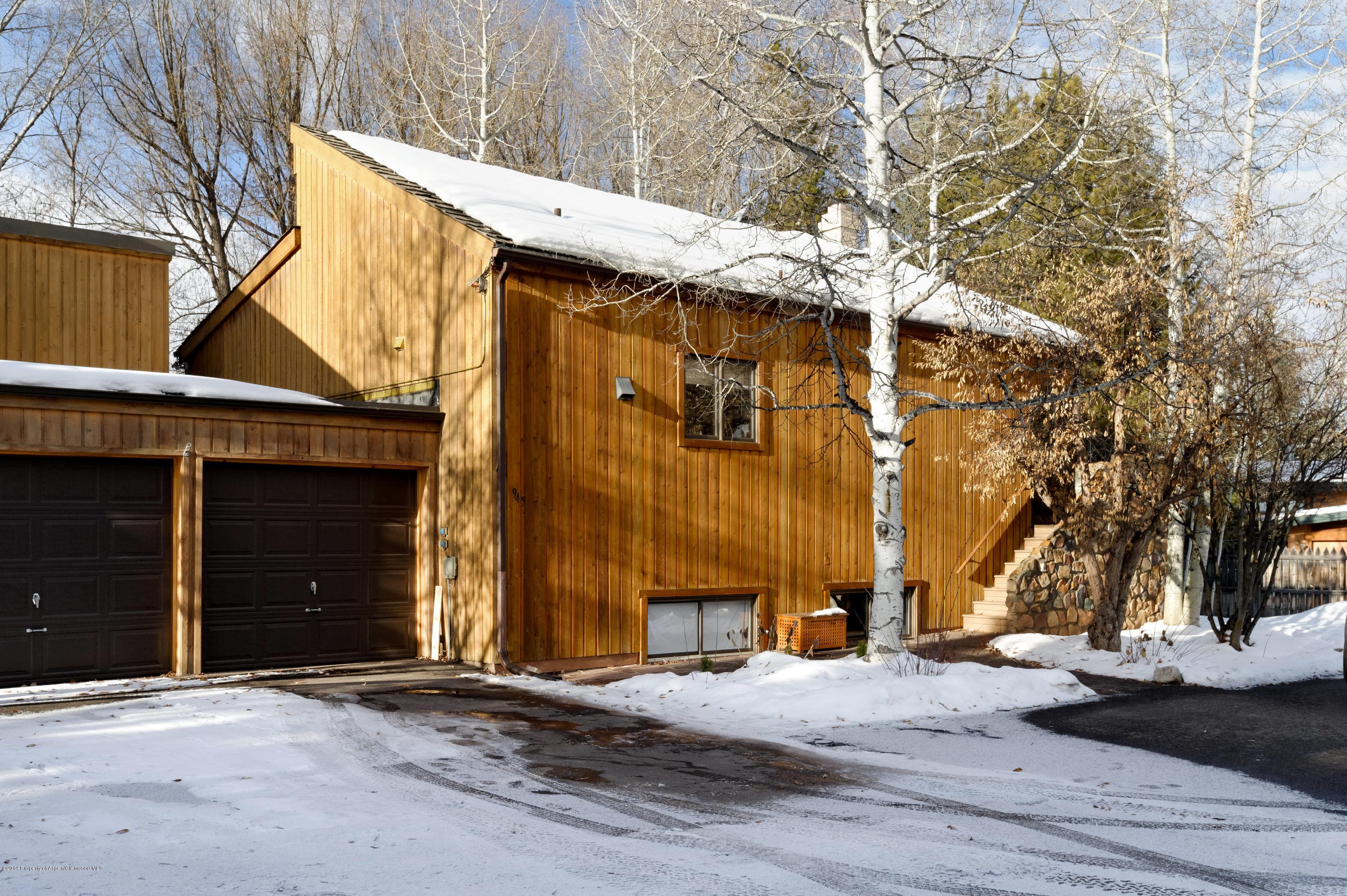 945 Cemetery Lane, Aspen, CO 81611 - Photo 23