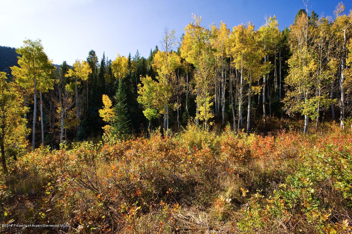 993 Moore Drive, Aspen, CO 81611 - Photo 2