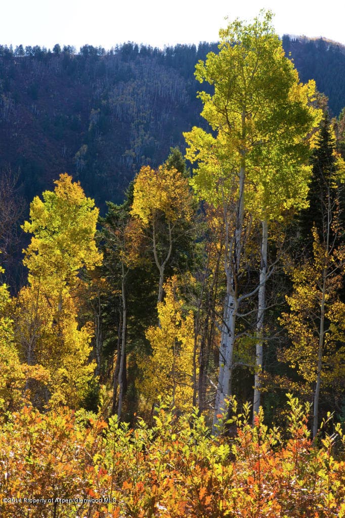 993 Moore Drive, Aspen, CO 81611 - Photo 3