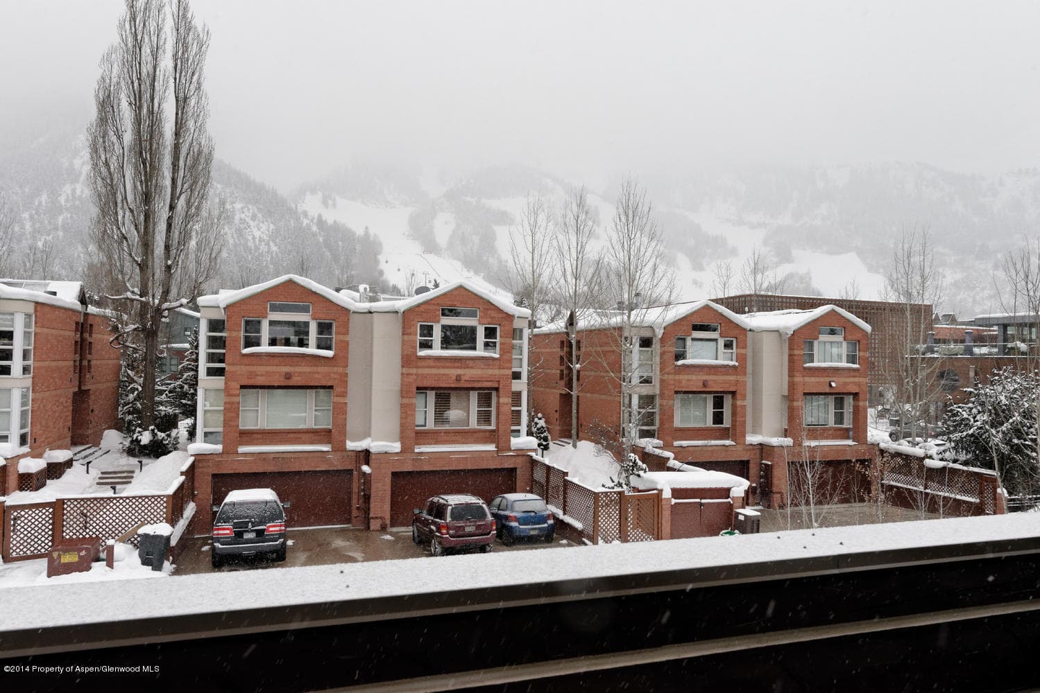 715 E Hopkins Avenue Unit 1, Aspen, CO 81611 - Photo 17