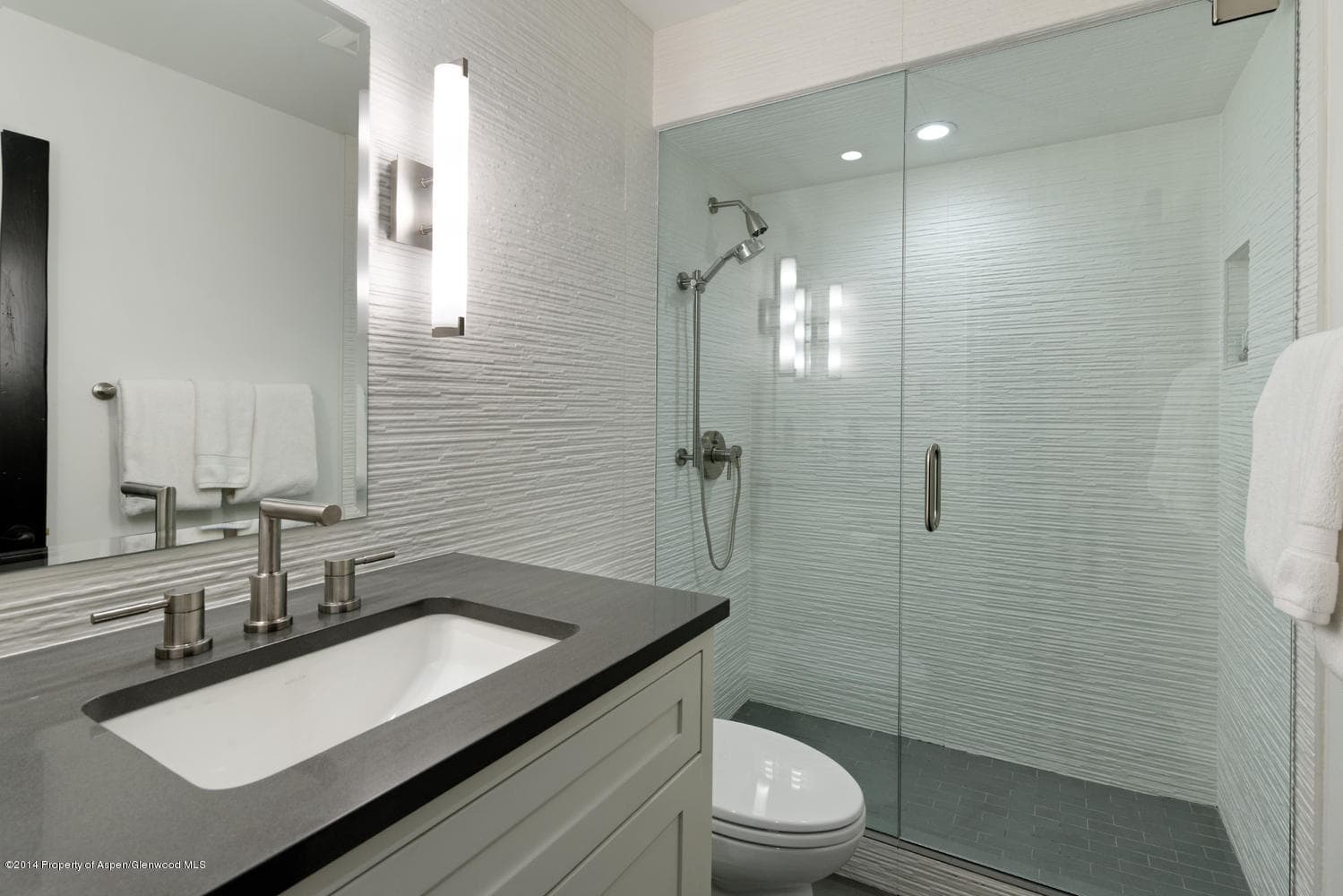 715 E Hopkins Avenue Unit 1, Aspen, CO 81611 - Photo 13