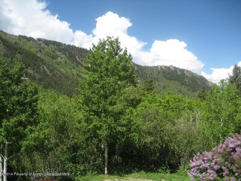 Tbd Skimming Lane, Aspen, CO 81611