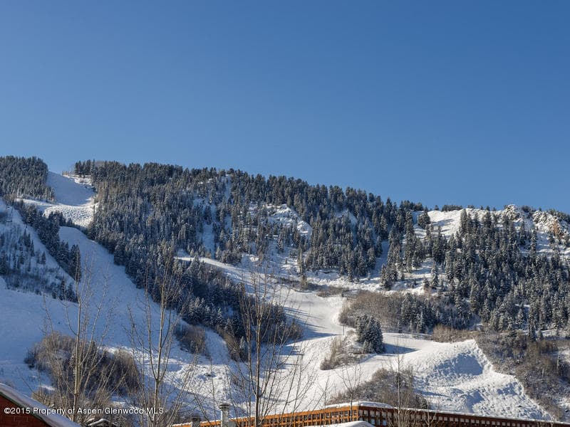 715 E Hopkins Avenue Unit 1, Aspen, CO 81611 - Photo 21