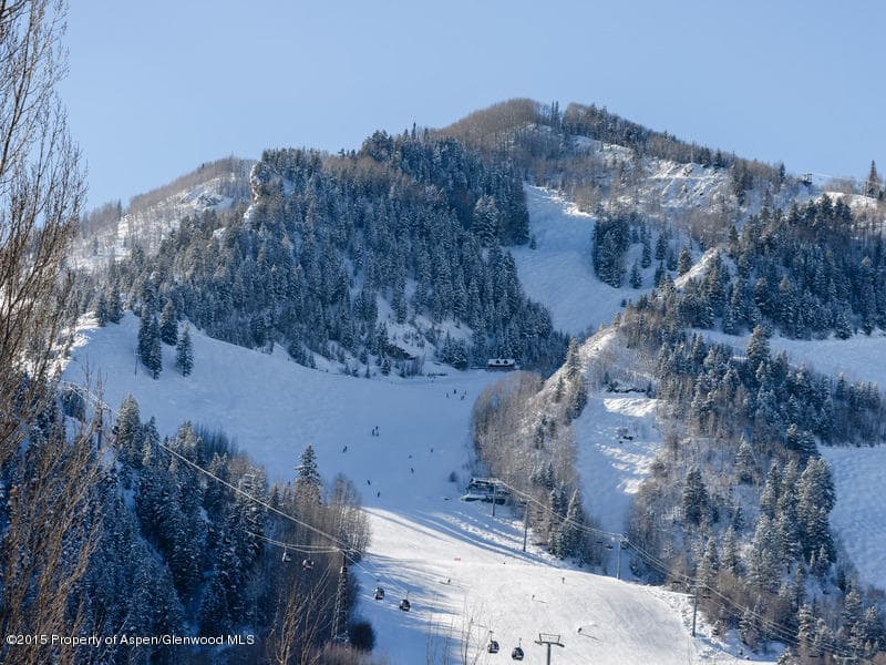 715 E Hopkins Avenue Unit 1, Aspen, CO 81611 - Photo 20