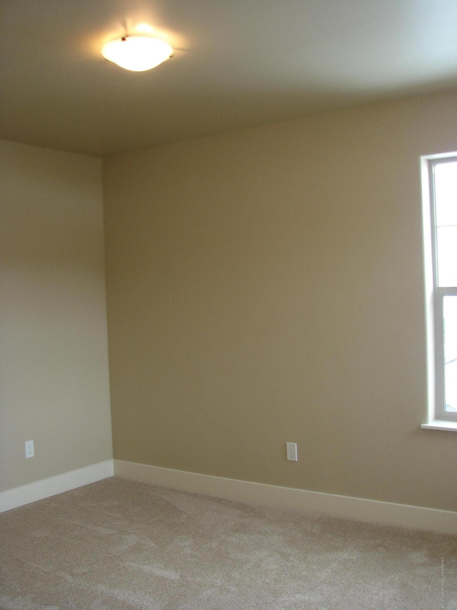 48 Foxwood Lane, New Castle, CO 81647 - Photo 13
