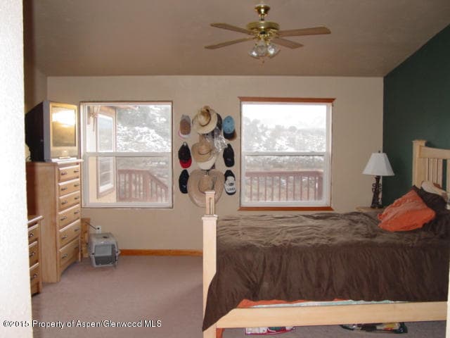 304 Harmony Way, Silt, CO 81652 - Photo 12