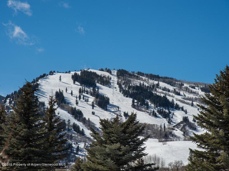 729 Cemetery Lane Unit: 731, Aspen, CO 81611 - Photo 14