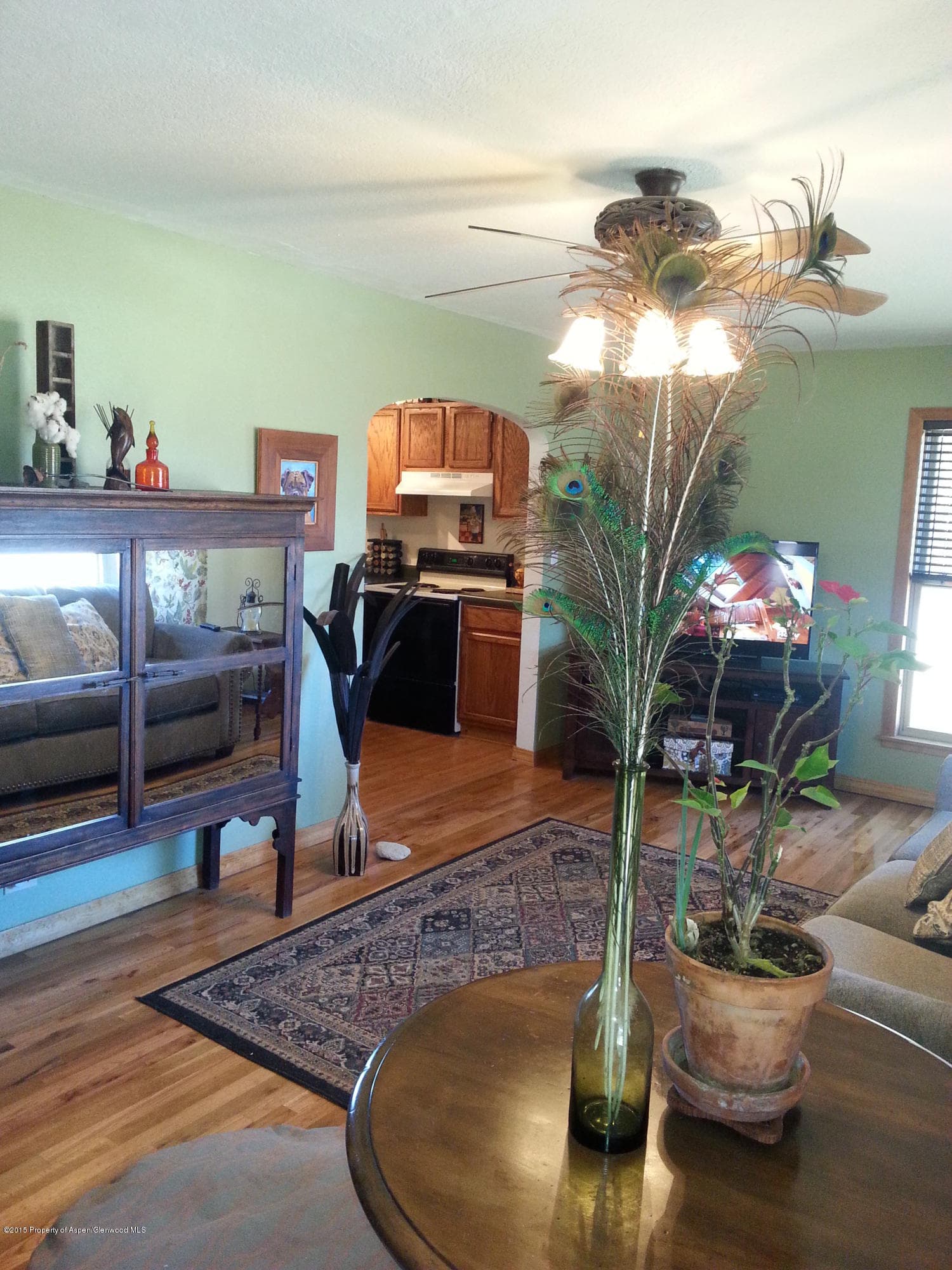842 Grand Avenue, Silt, CO 81652 - Photo 3