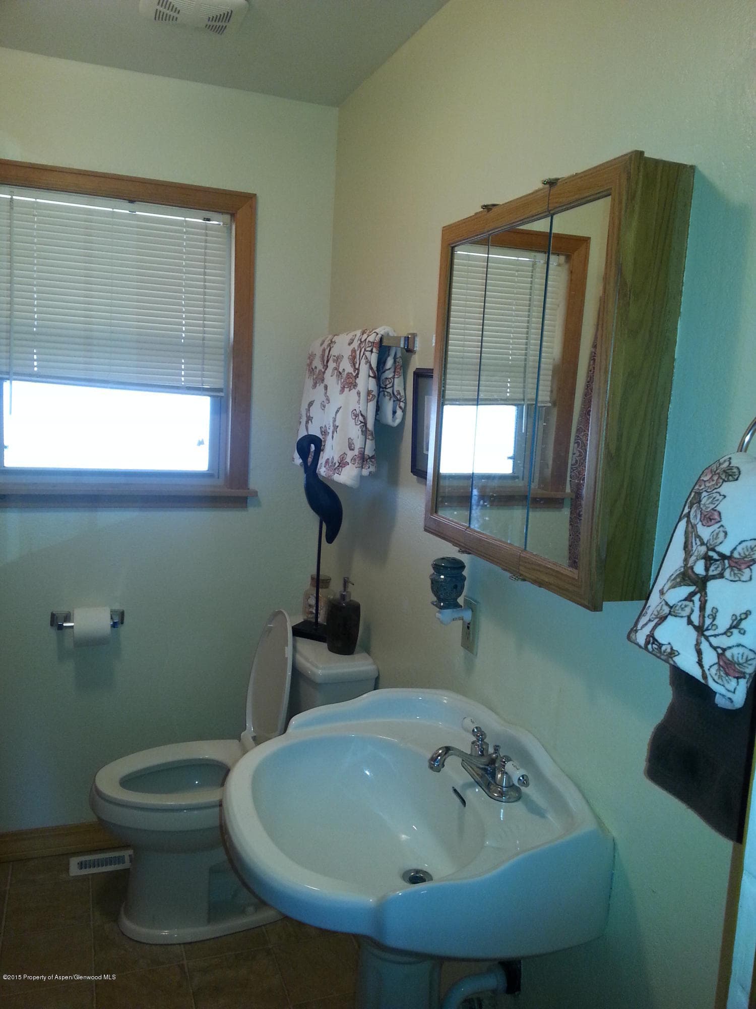 842 Grand Avenue, Silt, CO 81652 - Photo 10