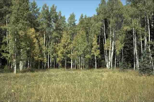 Tbd Conundrum Creek Road, Aspen, CO 81611 - Photo 8