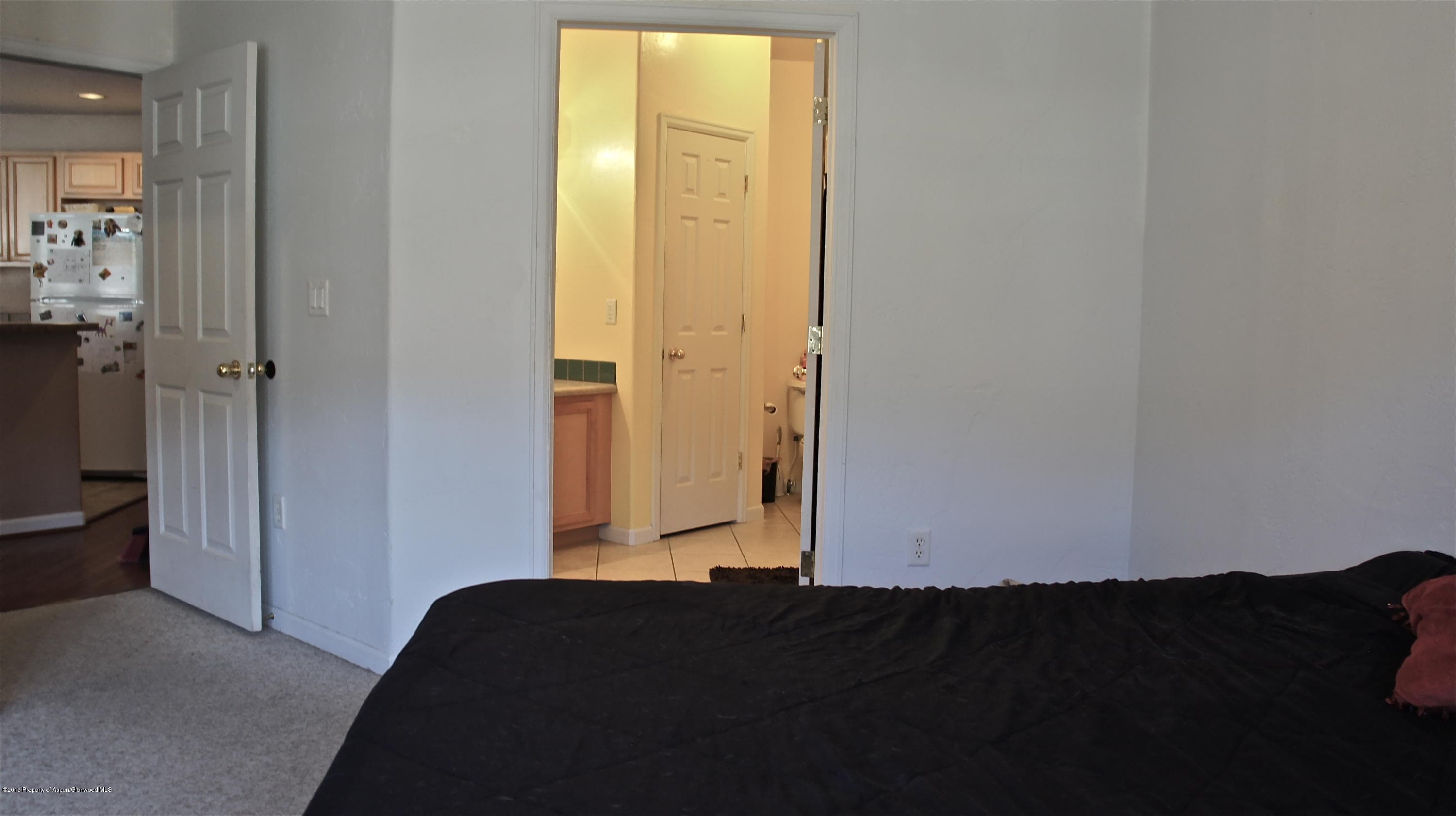 2701 Midland Ave 425, Glenwood Springs, CO 81601 - Photo 15