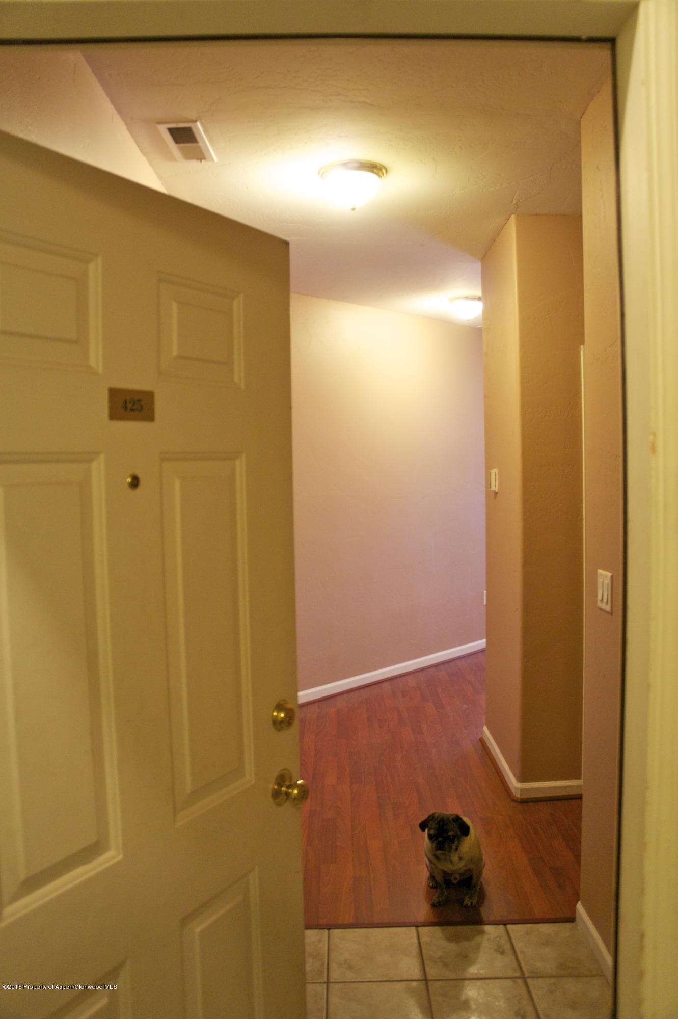 2701 Midland Ave 425, Glenwood Springs, CO 81601 - Photo 16