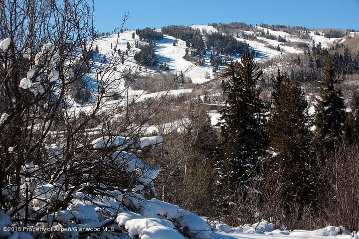 10 Maroon Drive, Aspen, CO 81611 - Photo 9