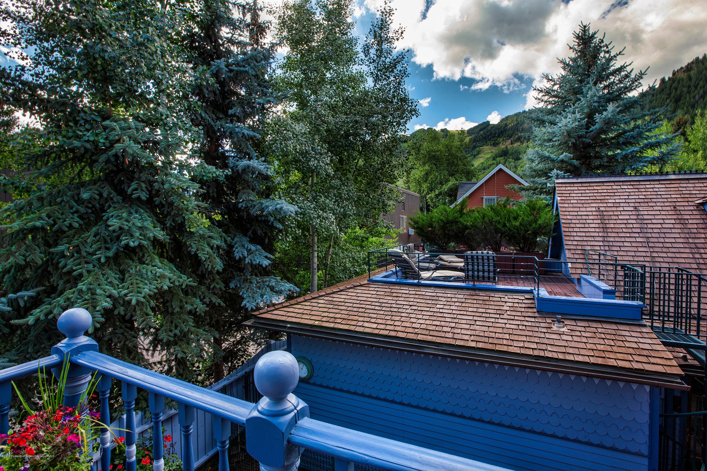121 W Bleeker Street, Aspen, CO 81611 - Photo 32
