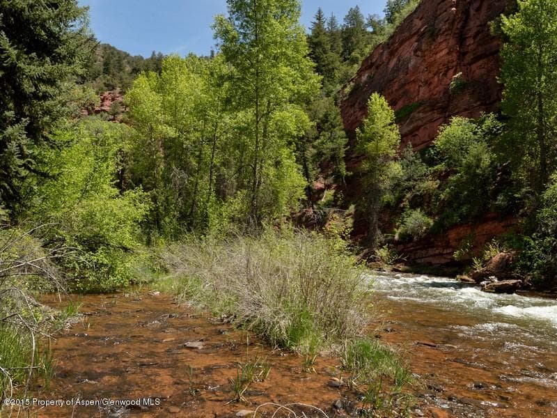 3006 Frying Pan Road, Basalt, CO 81621 - Photo 10