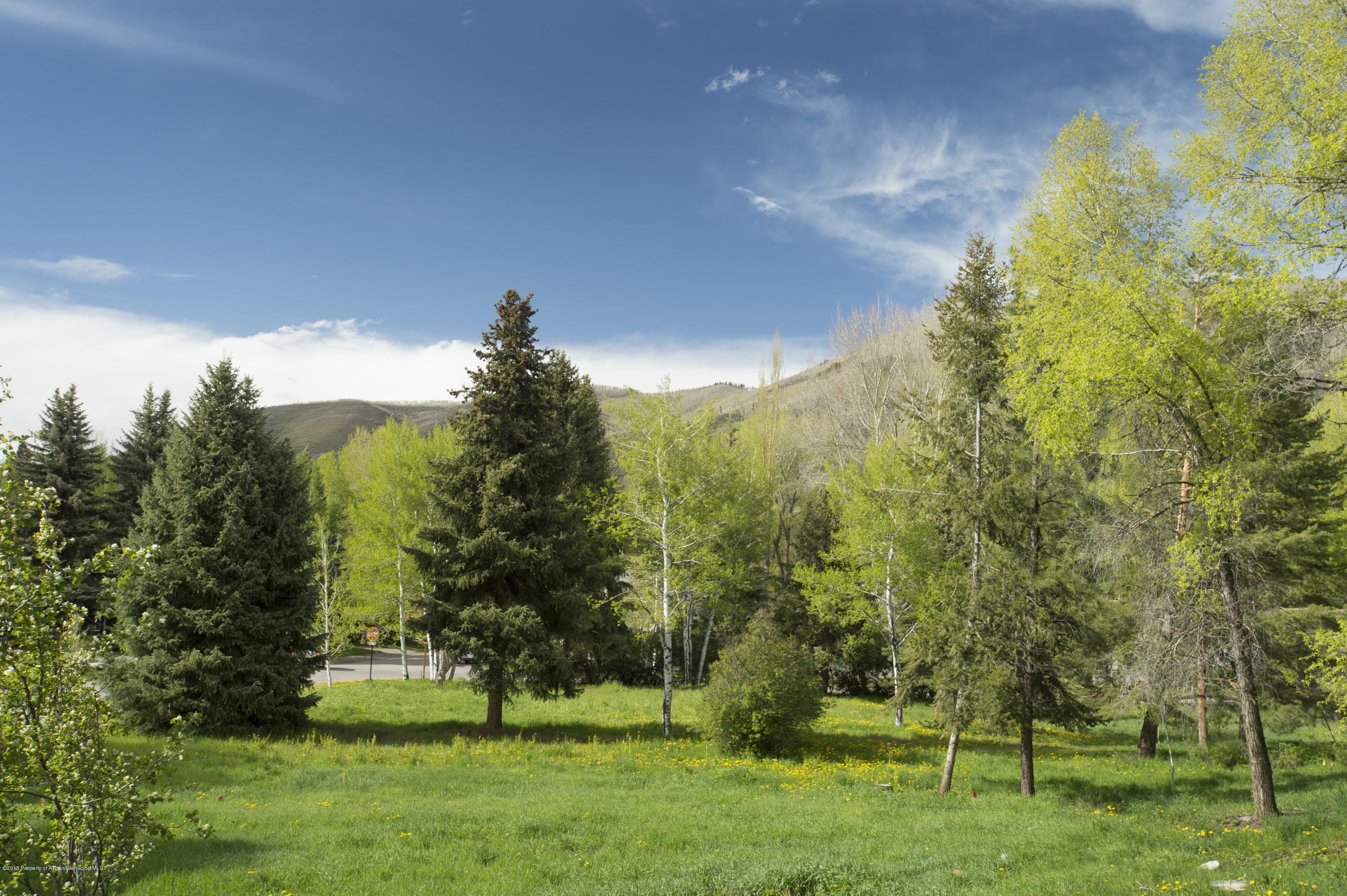 Tbd Eighth Street Lot 4, Aspen, CO 81611