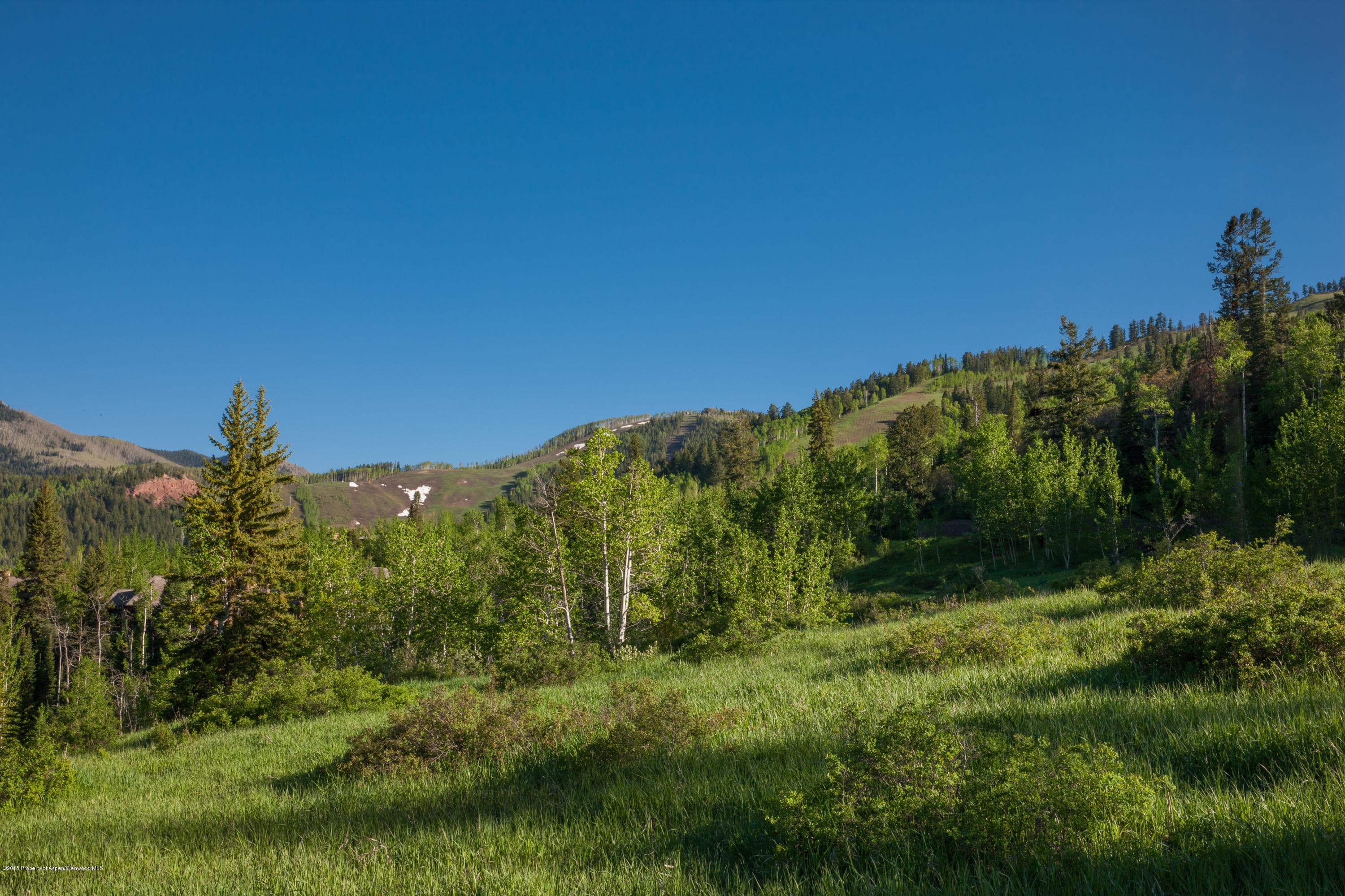 651 Pfister Dr., Aspen, CO 81611 - Photo 9