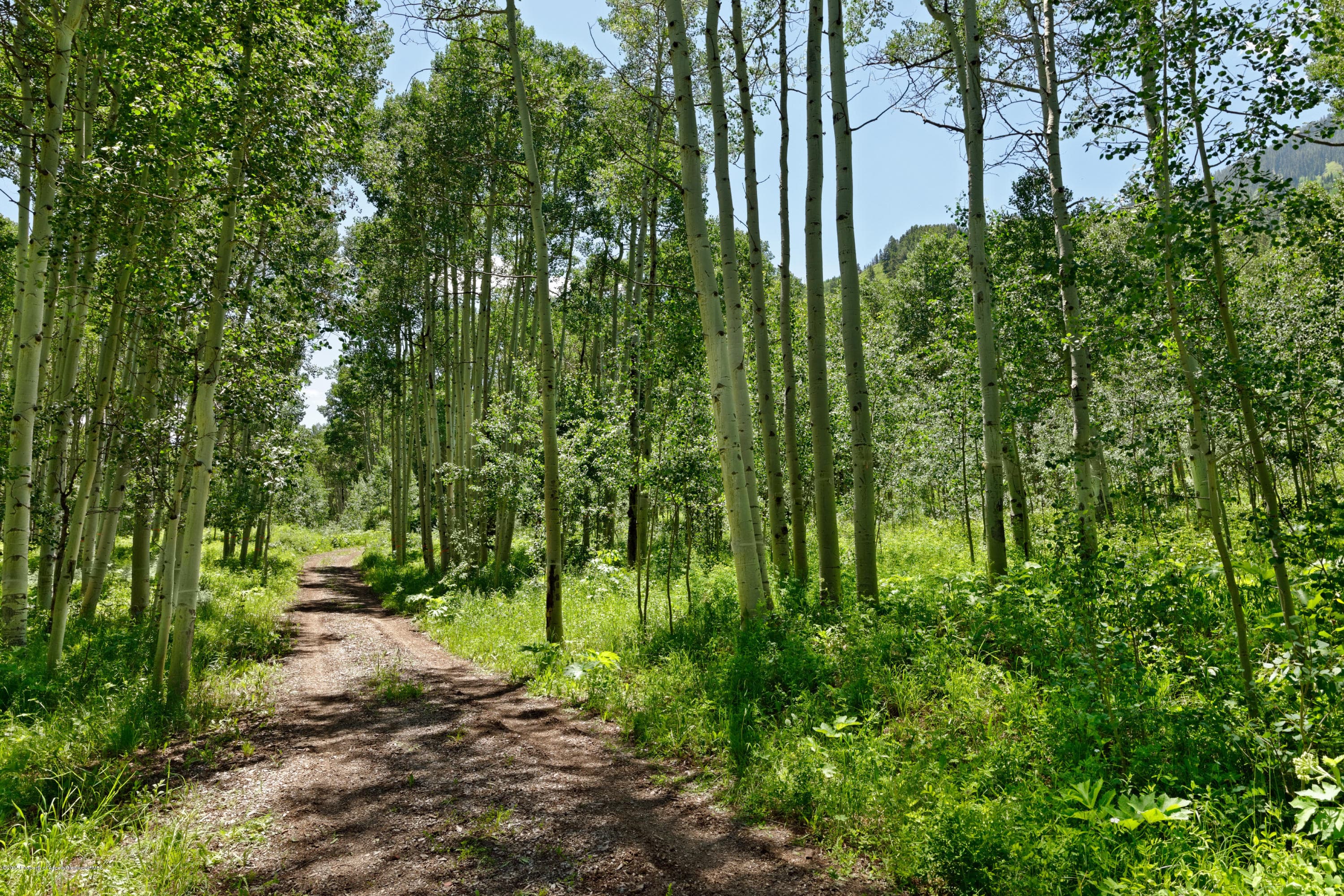 Tbd S Hayden Road, Aspen, CO 81611 - Photo 2