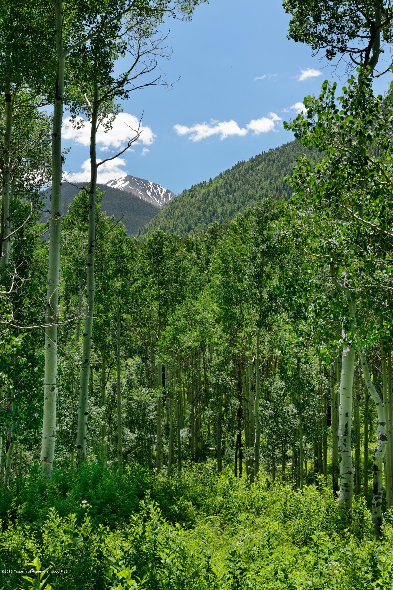 Tbd S Hayden Road, Aspen, CO 81611 - Photo 4