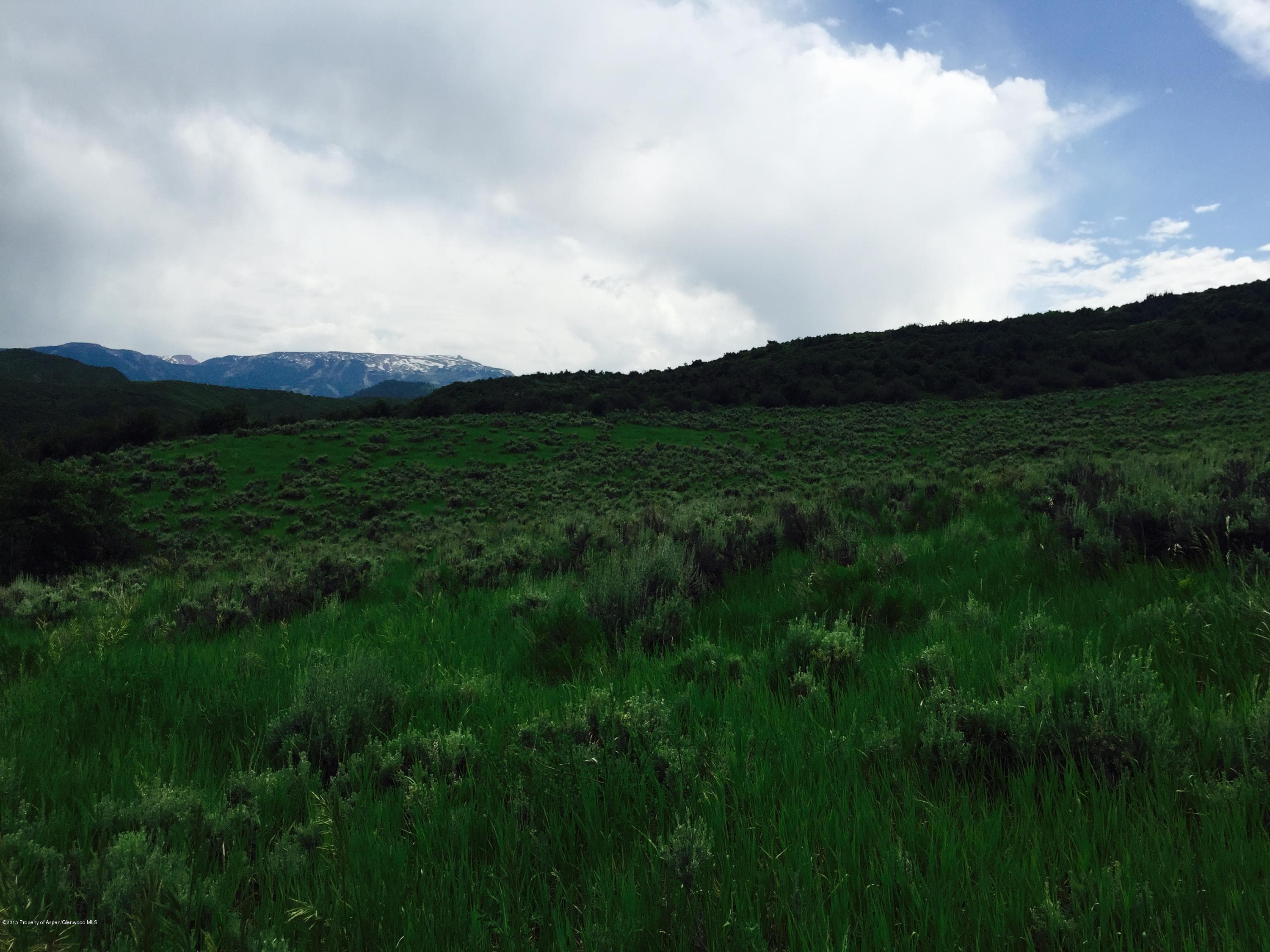 4303 Snowmass Creek Rd, Snowmass, CO 81654 - Photo 10