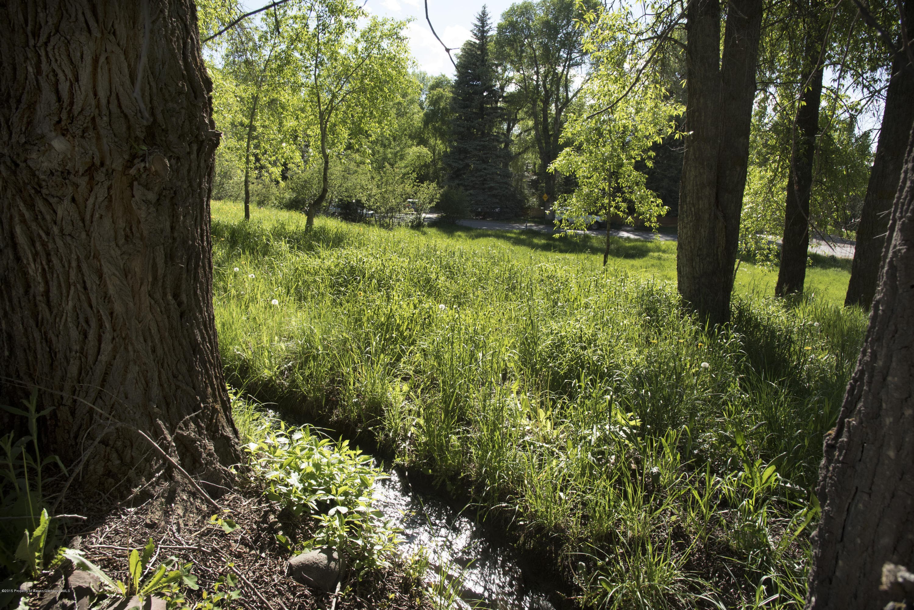 Tbd Eighth Street Lot 5, Aspen, CO 81611 - Photo 15